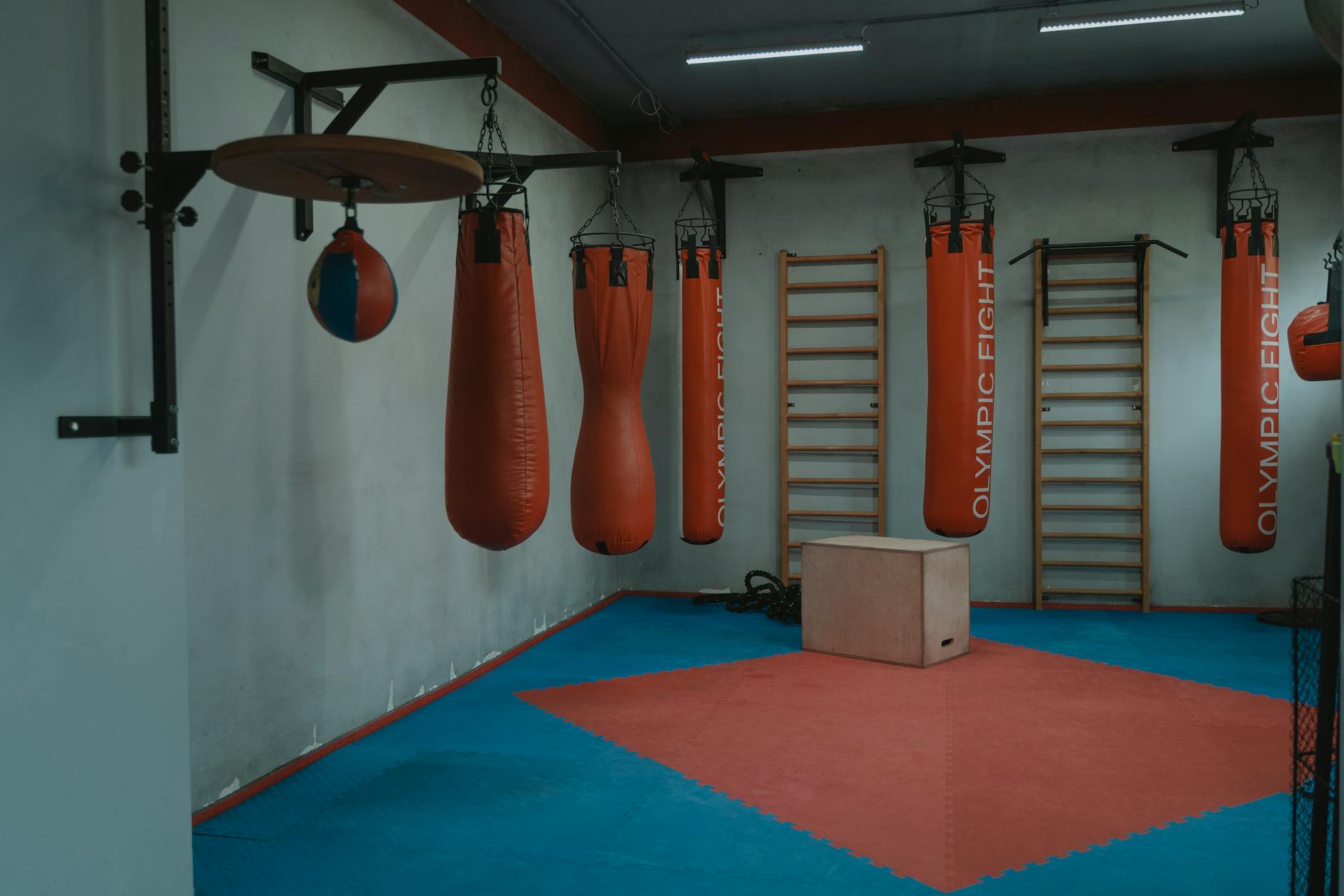 Foxcore Fitness Club contact